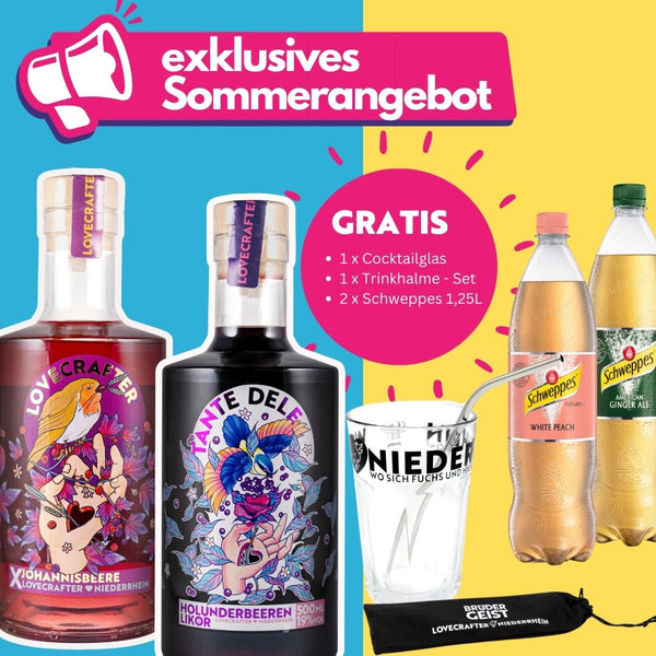 Sommerdrinks  + GRATIS Cocktailglas, Trinkhalme, Schweppes